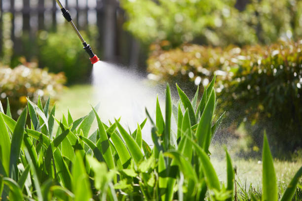 Tamper-Resistant Bait Stations for Rodents in Chisholm