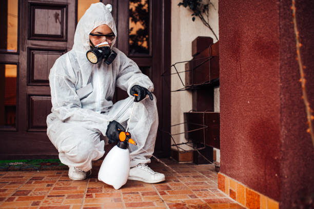 Attic and Crawl Space Rodent Treatment in Chisholm