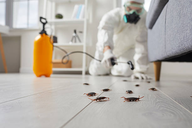 Commercial Rodent Management in Chisholm